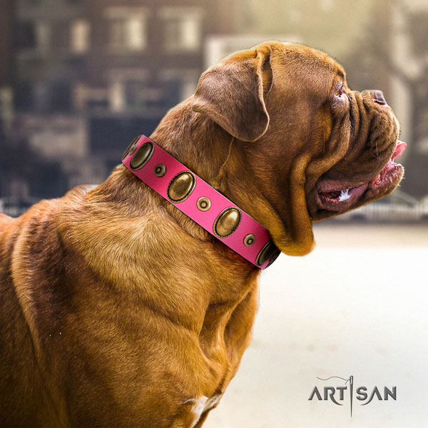 Dogue de Bordeaux everyday use dog collar of awesome quality genuine leather