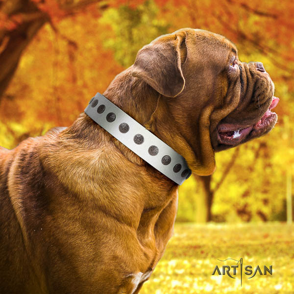 Dogue de Bordeaux trendy full grain natural leather dog collar