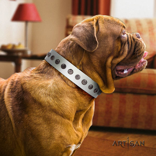 Dogue de Bordeaux designer full grain natural leather dog collar