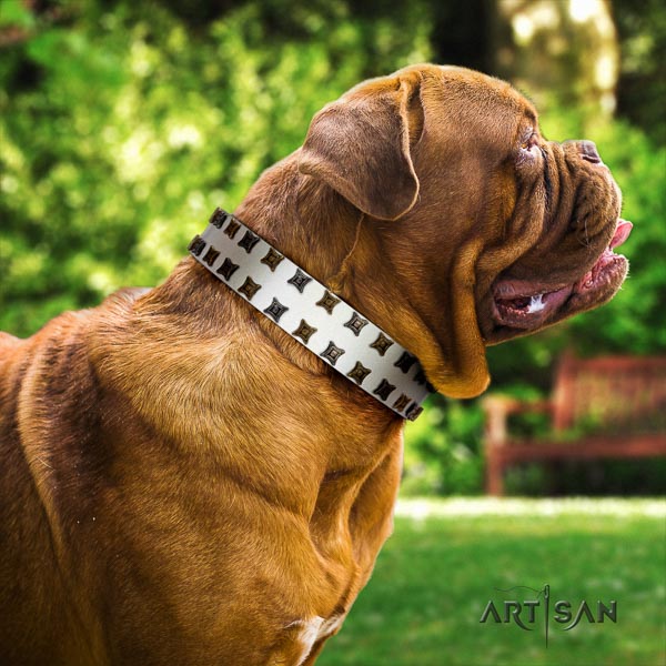 Dogue de Bordeaux everyday walking dog collar of fine quality genuine leather