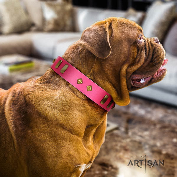 Dogue de Bordeaux handy use dog collar of top notch quality genuine leather