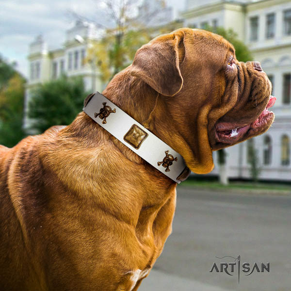 Dogue de Bordeaux everyday walking dog collar of designer natural leather