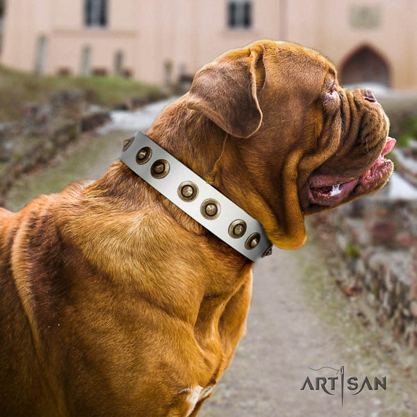 Dogue de Bordeaux daily walking dog collar of awesome quality leather