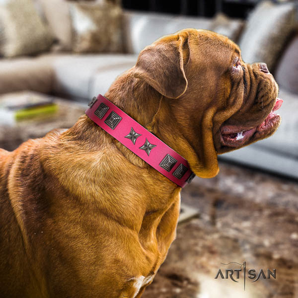 Dogue de Bordeaux inimitable leather dog collar