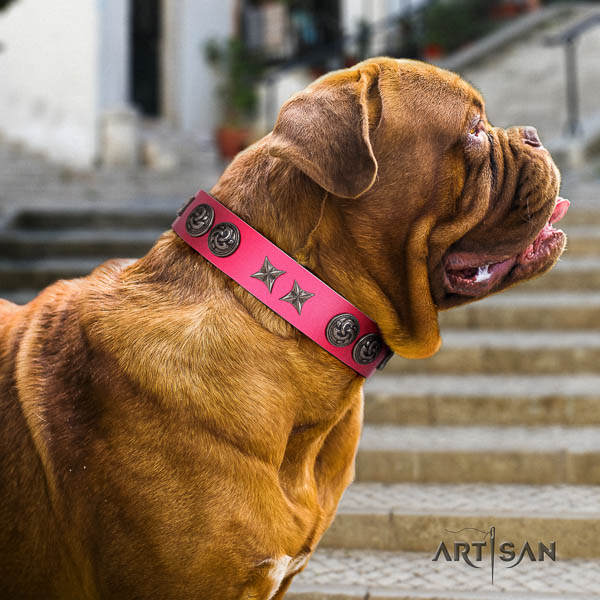 Dogue de Bordeaux remarkable natural genuine leather dog collar