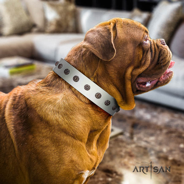 Dogue de Bordeaux designer full grain leather dog collar