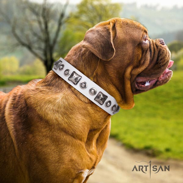 Dogue de Bordeaux studded genuine leather collar with strong buckle