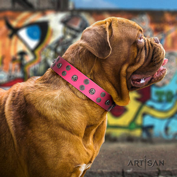 Dogue de Bordeaux significant full grain genuine leather dog collar