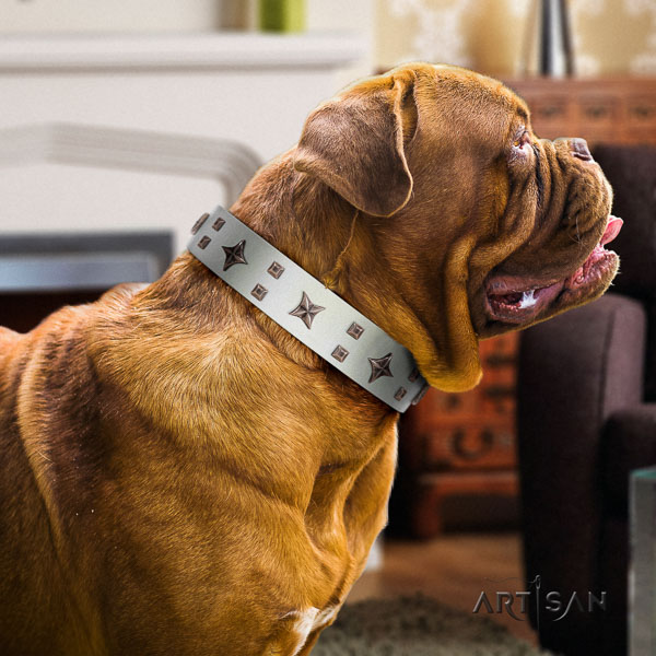 Dogue de Bordeaux dog collar of designer natural leather for fancy walking