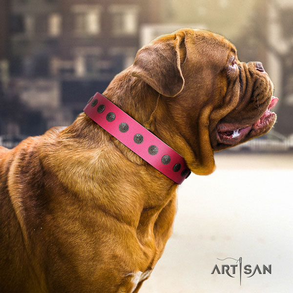 Dogue de Bordeaux trendy full grain leather dog collar