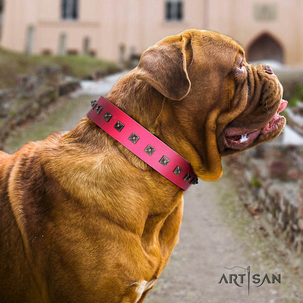 Dogue de Bordeaux fine quality genuine leather dog collar