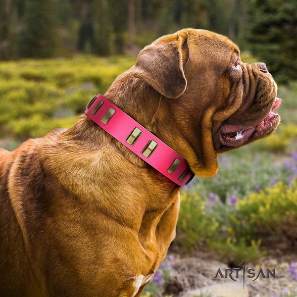 Dogue de Bordeaux everyday use dog collar of fashionable natural leather