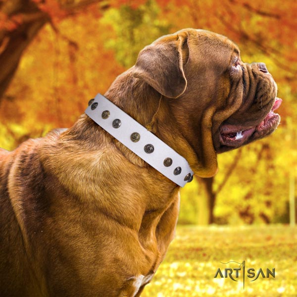 Dogue de Bordeaux fashionable natural genuine leather collar for stylish walking