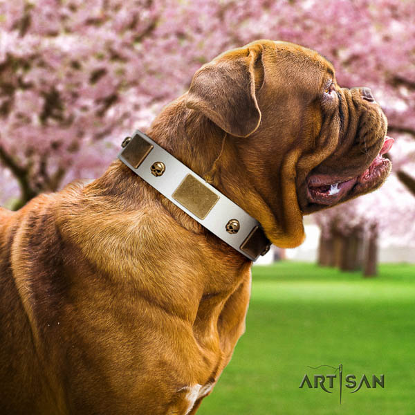 Dogue de Bordeaux fancy walking dog collar of incredible quality genuine leather
