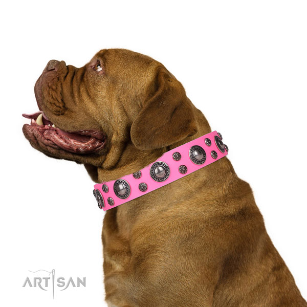 Dogue de Bordeaux full grain leather collar with durable D-ring for fancy walking