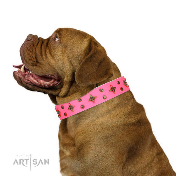 Dogue de Bordeaux full grain leather collar with strong buckle for easy wearing