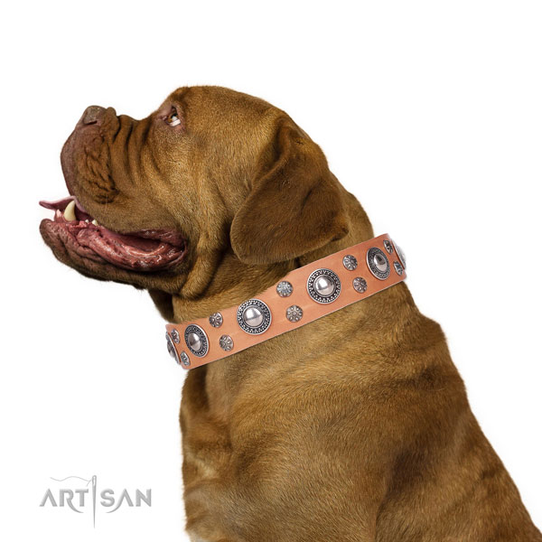 Dogue de Bordeaux full grain genuine leather collar with durable D-ring for basic training