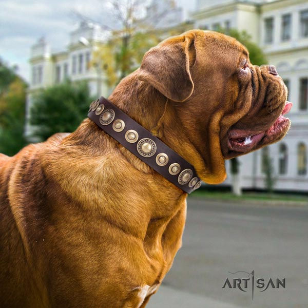 Dogue de Bordeaux embellished full grain genuine leather collar with reliable fittings