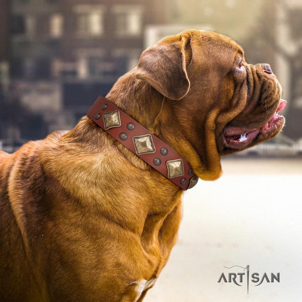 Dogue de Bordeaux remarkable full grain leather collar for comfortable wearing