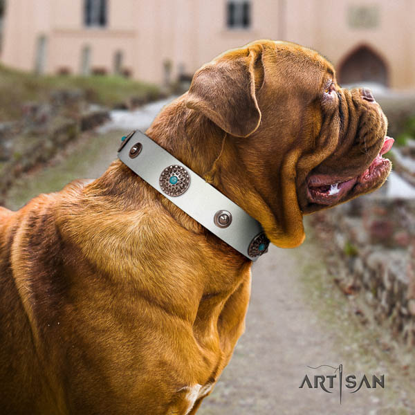 Dogue de Bordeaux stylish walking dog collar of trendy leather
