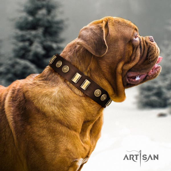 Dogue de Bordeaux incredible full grain genuine leather collar for daily walking