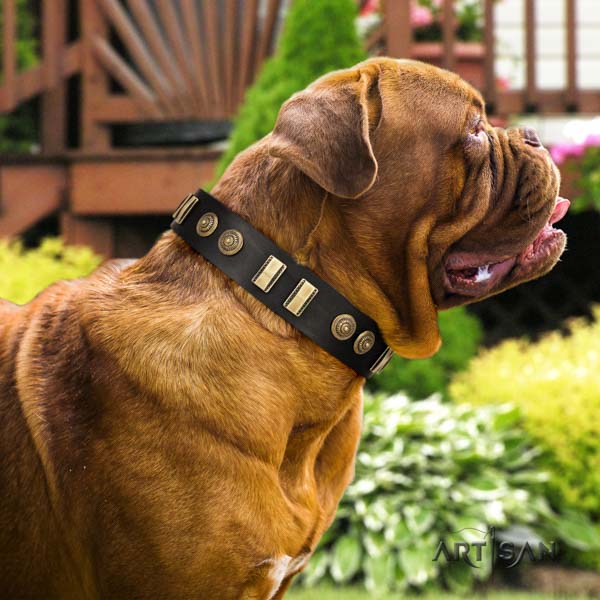 Dogue de Bordeaux inimitable leather collar for handy use