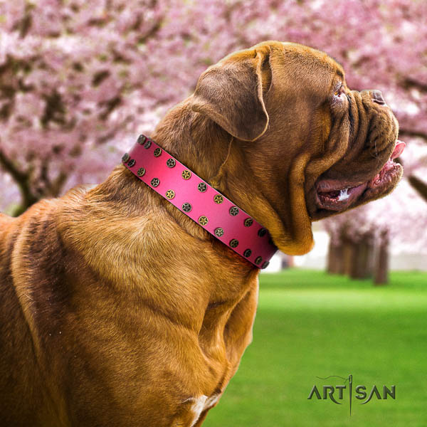 Dogue de Bordeaux fancy walking dog collar of top quality natural leather