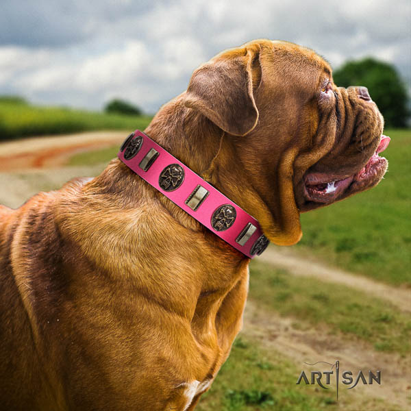 Dogue de Bordeaux walking dog collar of comfortable leather