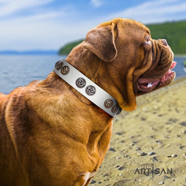 Dogue de Bordeaux unusual natural genuine leather dog collar