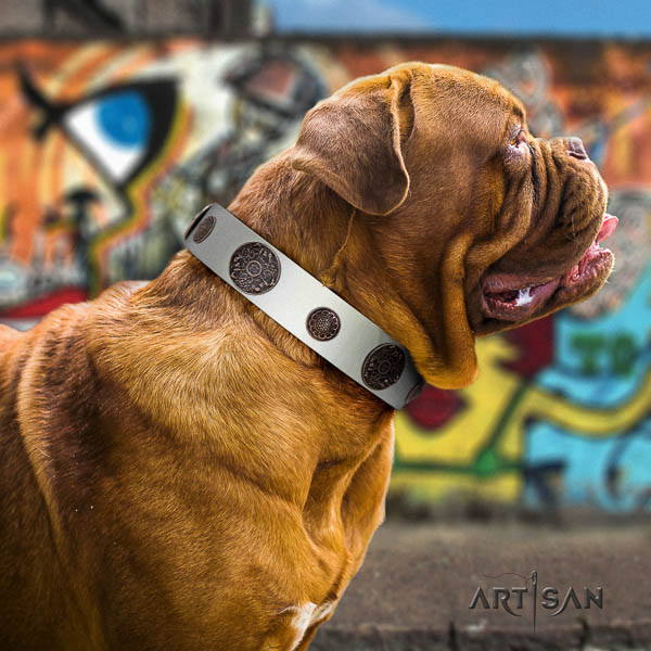 Dogue de Bordeaux comfortable wearing dog collar of comfortable natural leather