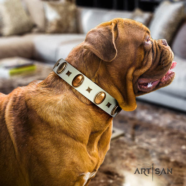 Dogue de Bordeaux easy wearing dog collar of soft natural leather