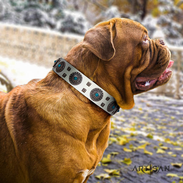 Dogue de Bordeaux amazing full grain leather dog collar