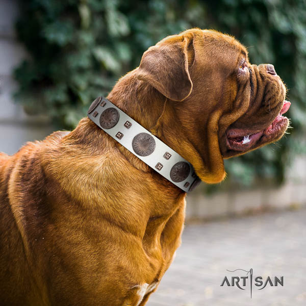 Dogue de Bordeaux extraordinary natural genuine leather dog collar