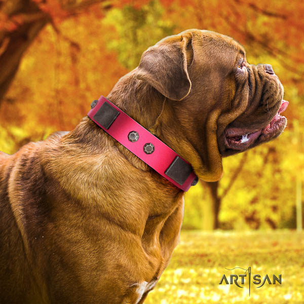Dogue de Bordeaux perfect fit full grain genuine leather dog collar