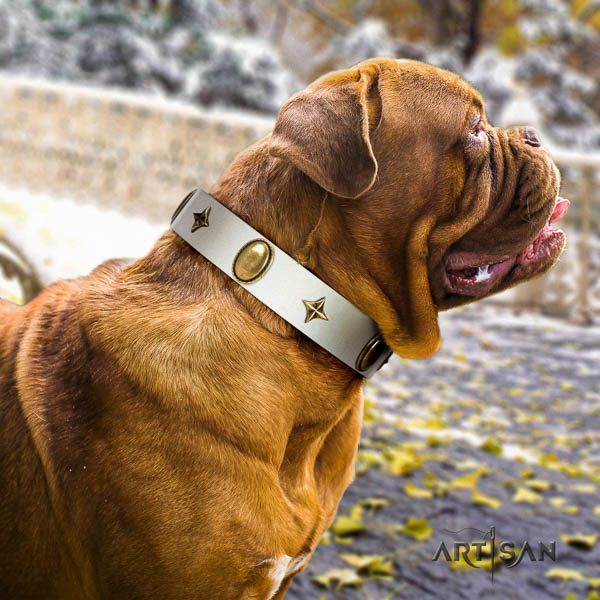 Dogue de Bordeaux easy wearing dog collar of extraordinary quality leather