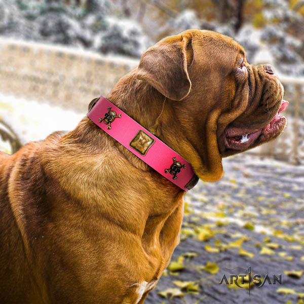 Dogue de Bordeaux basic training dog collar of top notch quality natural leather