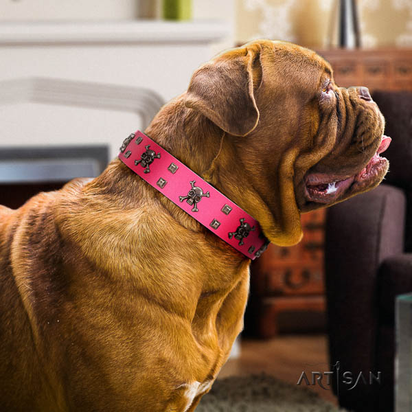 Dogue de Bordeaux daily use dog collar of top notch quality genuine leather