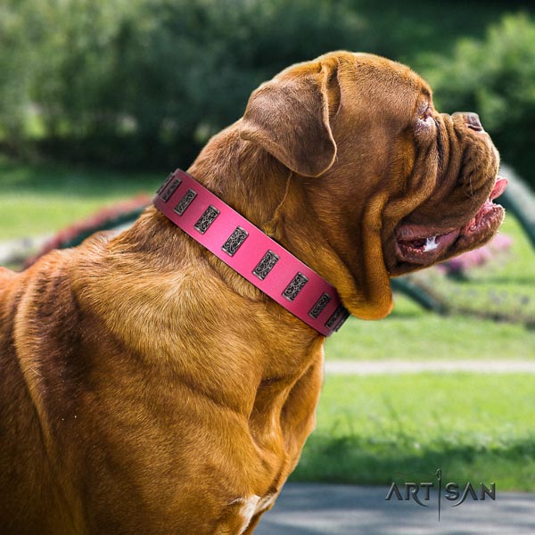 Dogue de Bordeaux unique full grain natural leather dog collar
