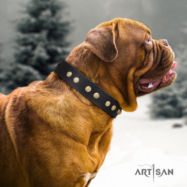 Dogue de Bordeaux awesome full grain natural leather collar for comfy wearing