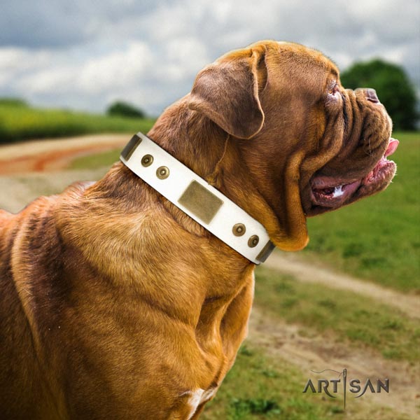 Dogue de Bordeaux designer full grain genuine leather collar for basic training