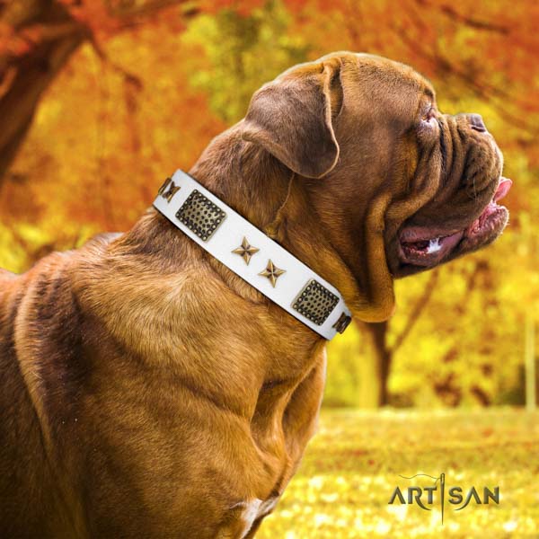 Dogue de Bordeaux unusual full grain natural leather collar for basic training