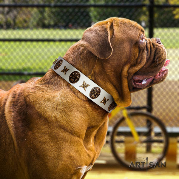 Dogue de Bordeaux handy use dog collar of extraordinary quality genuine leather