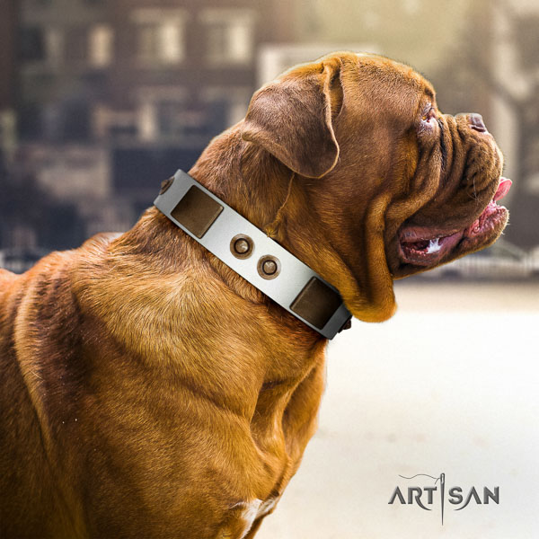 Dogue de Bordeaux comfortable wearing dog collar of fine quality natural leather