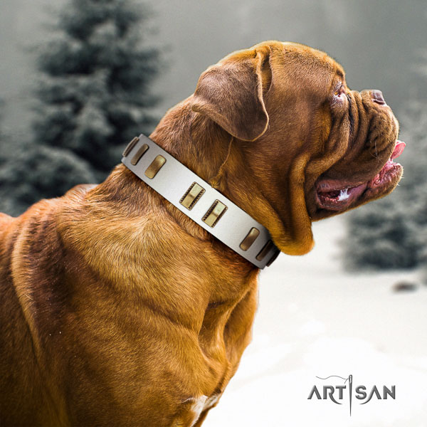 Dogue de Bordeaux daily use dog collar of trendy genuine leather