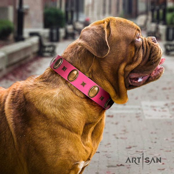 Dogue de Bordeaux basic training dog collar of stylish natural leather