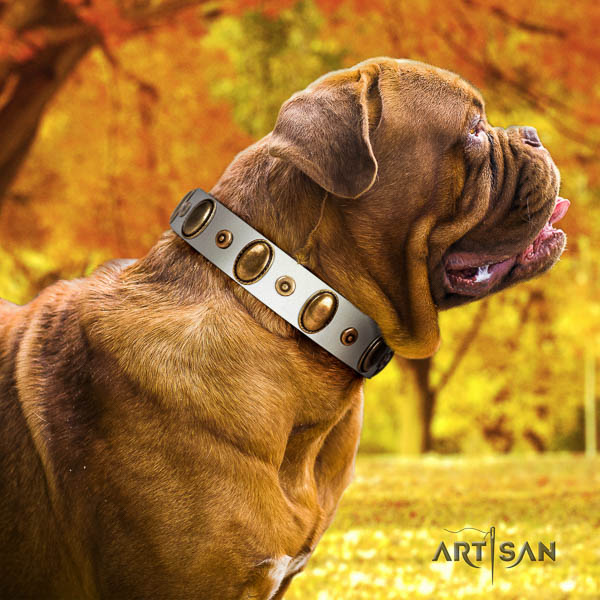 Dogue de Bordeaux walking dog collar of top quality genuine leather