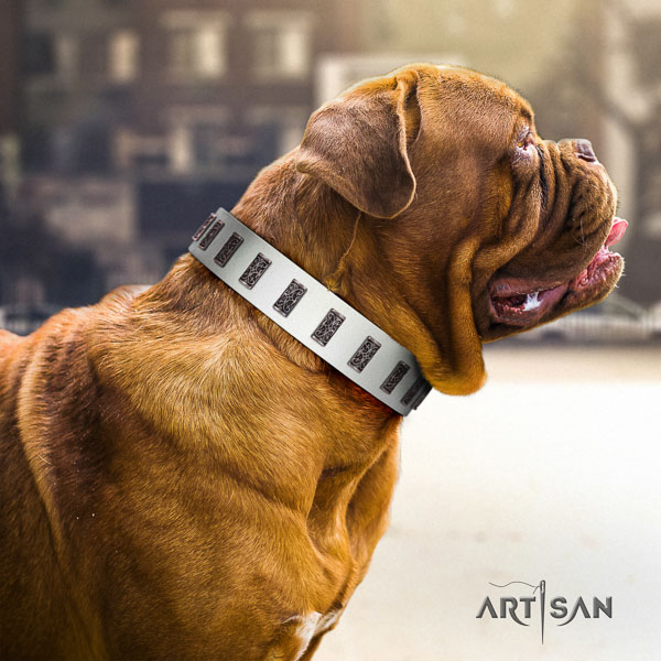 Dogue de Bordeaux stylish full grain natural leather dog collar
