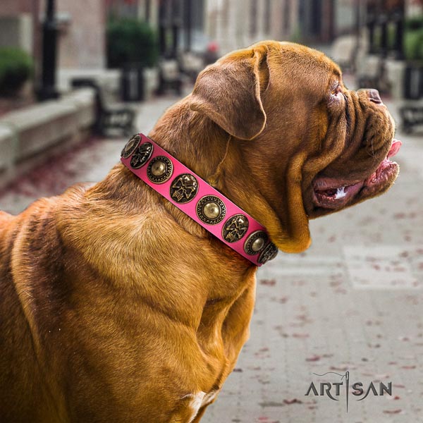 Dogue de Bordeaux everyday walking dog collar of trendy natural leather