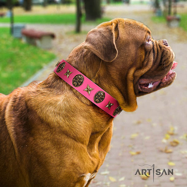 Dogue de Bordeaux stylish walking dog collar of remarkable quality natural leather