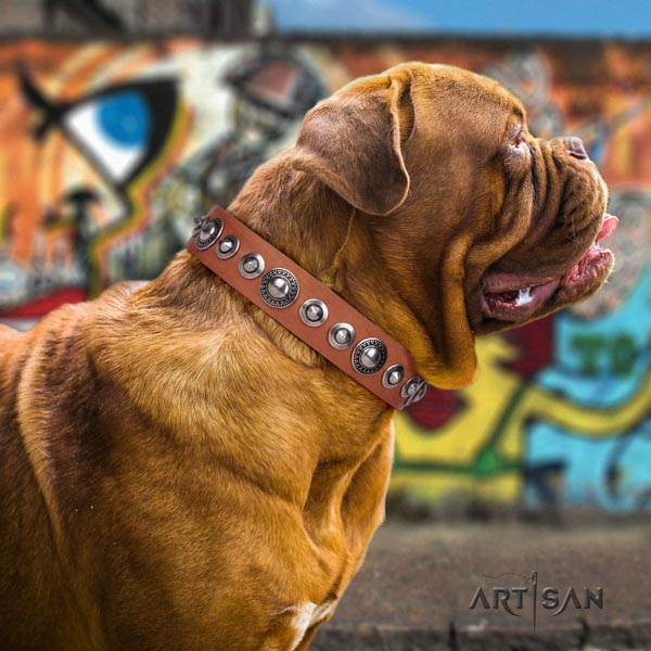 Dogue de Bordeaux embellished full grain natural leather collar with rust-proof hardware